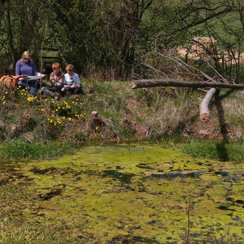 Reading by the pond at Upper Heath Farm in South Shropshire UK