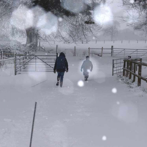 Snowy Day at Upper Heath Farm in South Shropshire