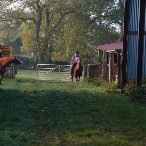 Horse Riding at Upper House Farm Self Catering Accommodation in Craven Arms Shropshire UK