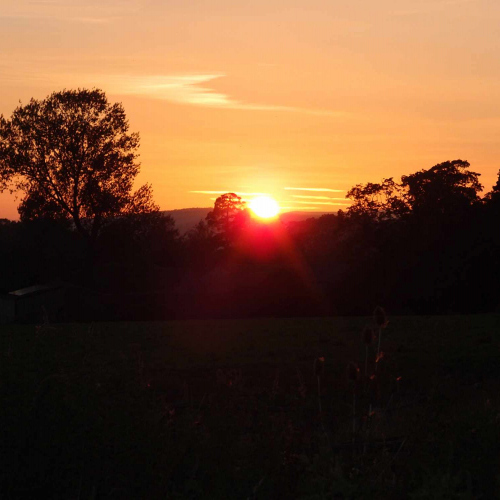 Sunrise at Upper Heath Farm